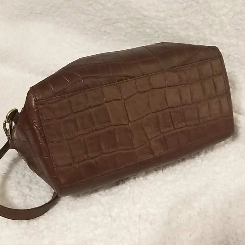 Fossil reddish brown